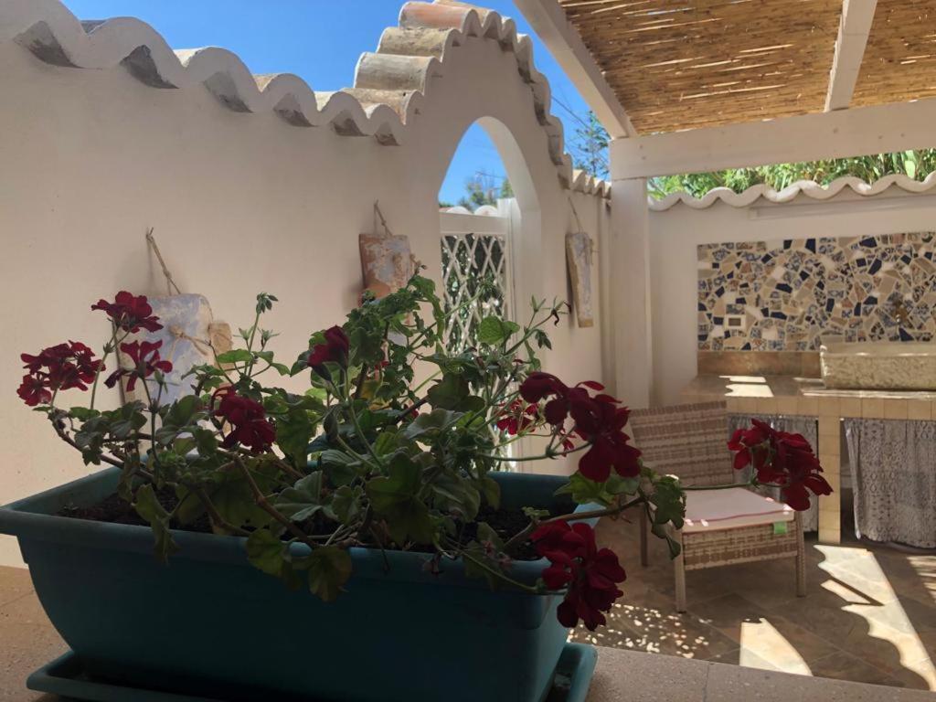 Cala Marina Holidays Villa Trappeto  Exterior photo